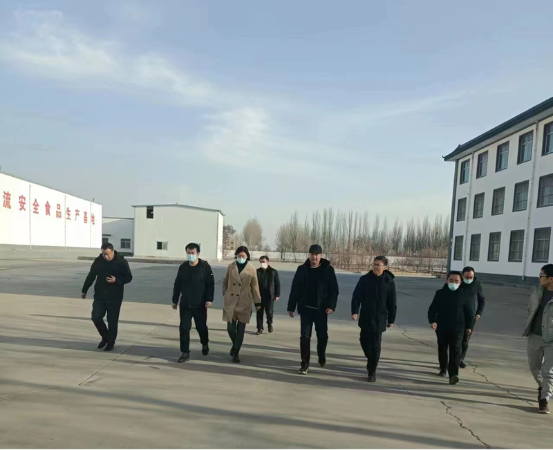 石嘴山市副市長(zhǎng)、惠農(nóng)區(qū)委書(shū)記王宇翔蒞臨寧夏興康恒潤(rùn)農(nóng)業(yè)科技發(fā)展有限公司調(diào)研